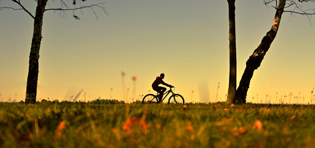 Fahrradfahrerin im Herbst