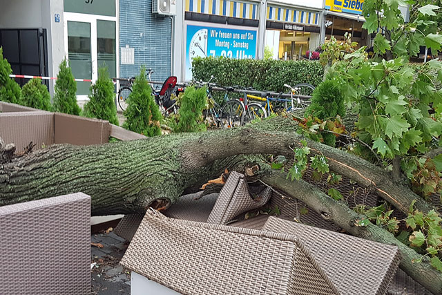 Sturm Xavier Diese Versicherungen bezahlen Ihre Schäden