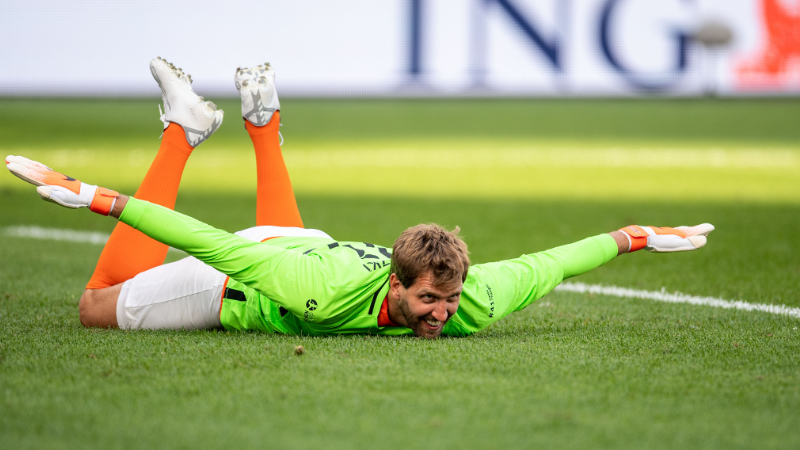 Dirk Nowitzki im Tiefflug