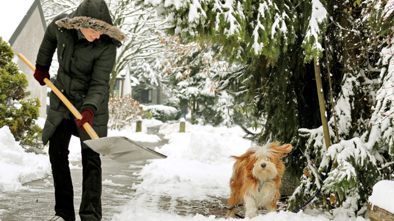 Winterdienst
