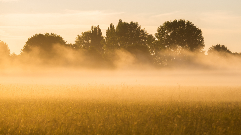 Sommer in Niedersachsen