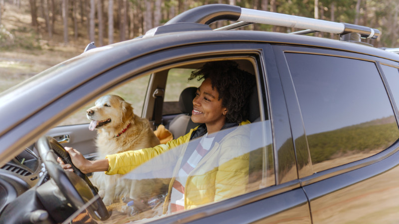 Frau mit Hund im Auto unterwegs.